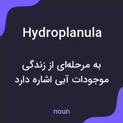 معنی hydroplanula به فارسی معنی hydroplanula به فارسی