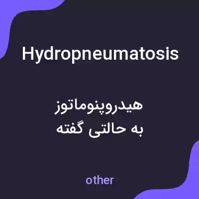 معنی hydropneumatosis به فارسی معنی hydropneumatosis به فارسی