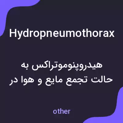 معنی hydropneumothorax به فارسی معنی hydropneumothorax به فارسی