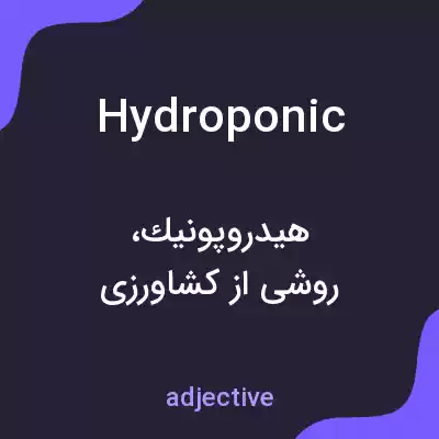 معنی hydroponic به فارسی معنی hydroponic به فارسی