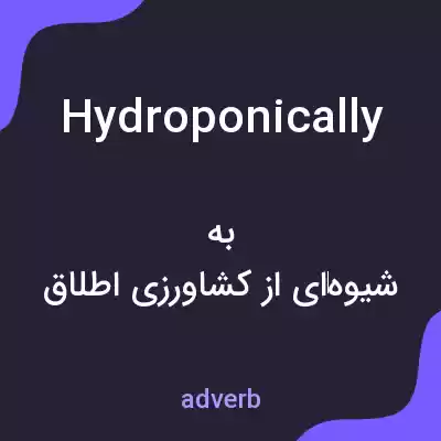 معنی hydroponically به فارسی معنی hydroponically به فارسی