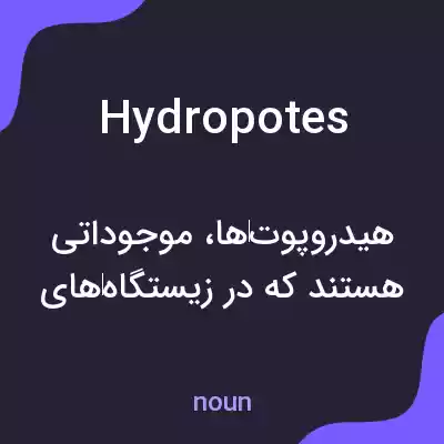 معنی hydropotes به فارسی معنی hydropotes به فارسی