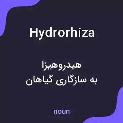 معنی hydrorhiza به فارسی معنی hydrorhiza به فارسی