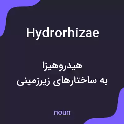 معنی hydrorhizae به فارسی معنی hydrorhizae به فارسی