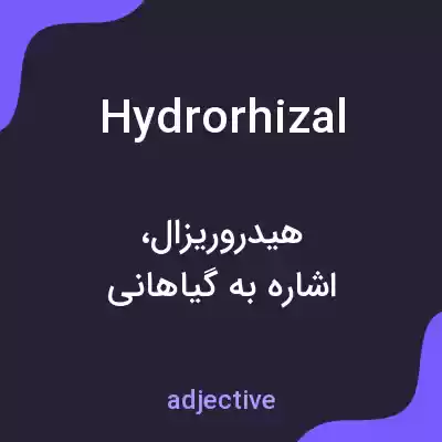 معنی hydrorhizal به فارسی معنی hydrorhizal به فارسی