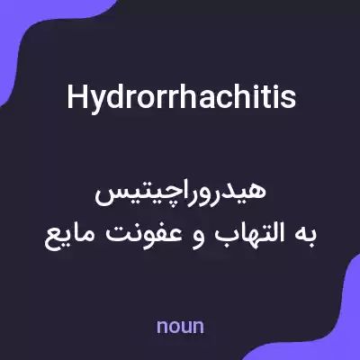 معنی hydrorrhachitis به فارسی معنی hydrorrhachitis به فارسی