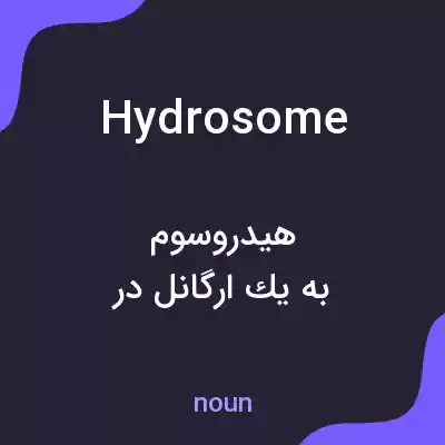 معنی hydrosome به فارسی معنی hydrosome به فارسی
