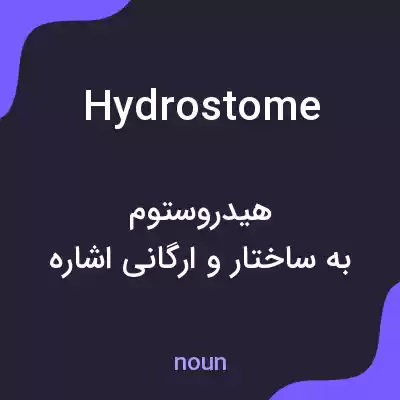 معنی hydrostome به فارسی معنی hydrostome به فارسی