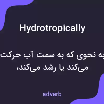 معنی hydrotropically به فارسی معنی hydrotropically به فارسی