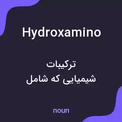 معنی hydroxamino به فارسی معنی hydroxamino به فارسی