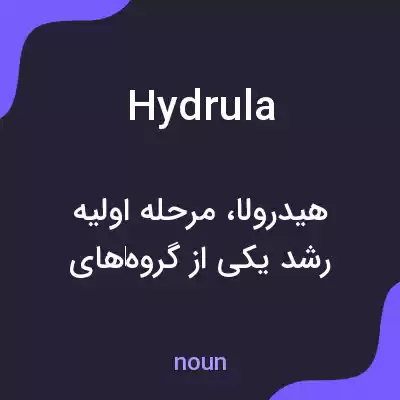 معنی hydrula به فارسی معنی hydrula به فارسی