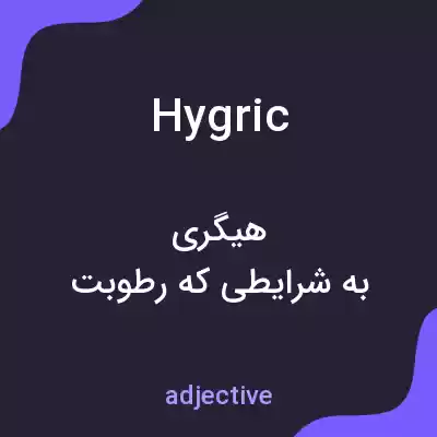 معنی hygric به فارسی معنی hygric به فارسی