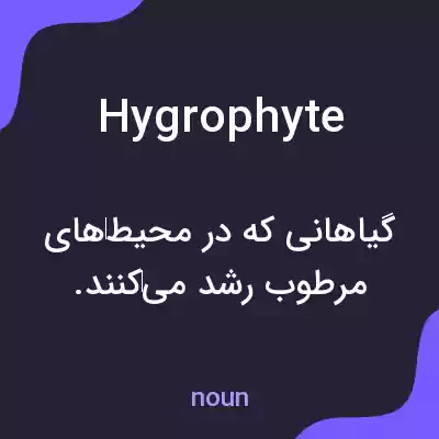 معنی hygrophyte به فارسی