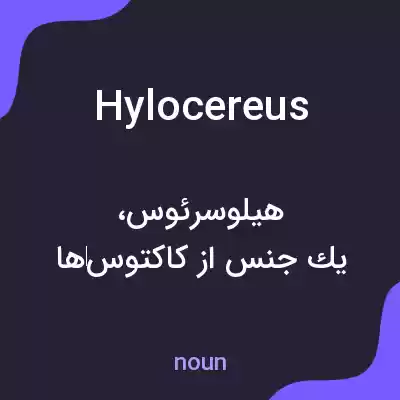 معنی hylocereus به فارسی معنی hylocereus به فارسی
