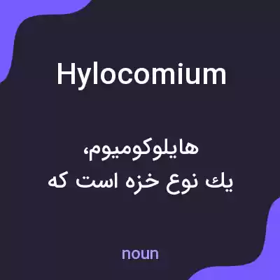 معنی hylocomium به فارسی معنی hylocomium به فارسی
