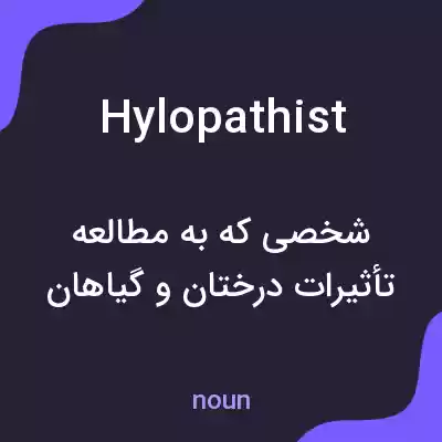 معنی hylopathist به فارسی معنی hylopathist به فارسی
