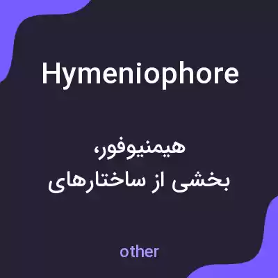معنی hymeniophore به فارسی معنی hymeniophore به فارسی
