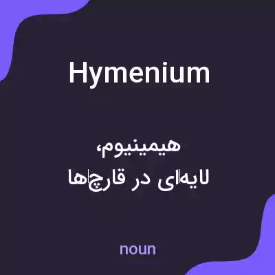 معنی hymenium به فارسی معنی hymenium به فارسی