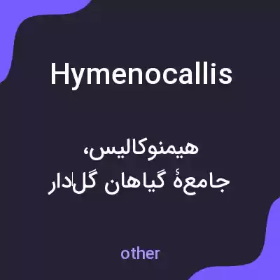 معنی hymenocallis به فارسی معنی hymenocallis به فارسی