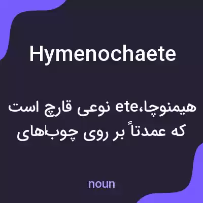 معنی hymenochaete به فارسی معنی hymenochaete به فارسی