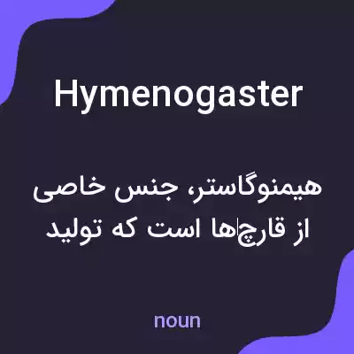 معنی hymenogaster به فارسی معنی hymenogaster به فارسی