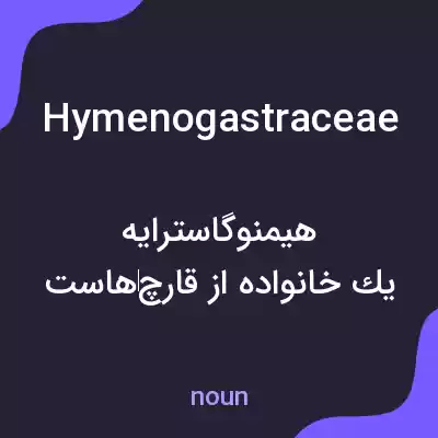 معنی hymenogastraceae به فارسی معنی hymenogastraceae به فارسی
