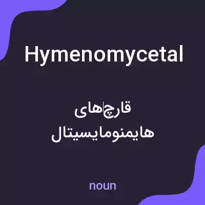معنی hymenomycetal به فارسی معنی hymenomycetal به فارسی