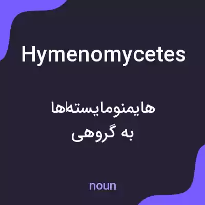 معنی hymenomycetes به فارسی معنی hymenomycetes به فارسی
