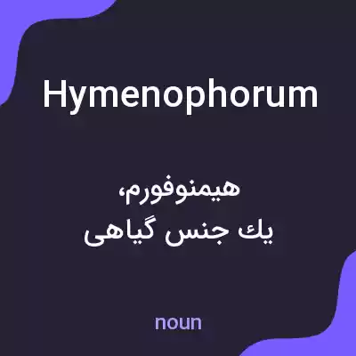 معنی hymenophorum به فارسی معنی hymenophorum به فارسی