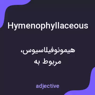 معنی hymenophyllaceous به فارسی معنی hymenophyllaceous به فارسی