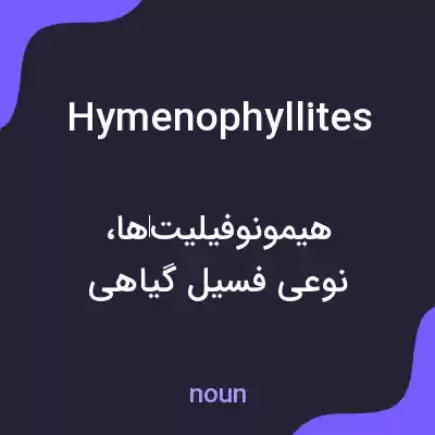 معنی hymenophyllites به فارسی معنی hymenophyllites به فارسی