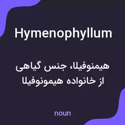 معنی hymenophyllum به فارسی معنی hymenophyllum به فارسی