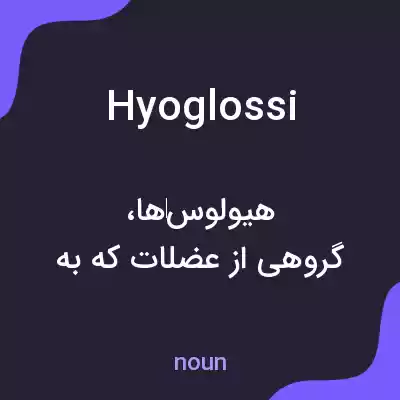 معنی hyoglossi به فارسی معنی hyoglossi به فارسی