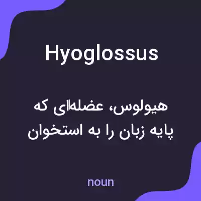 معنی hyoglossus به فارسی معنی hyoglossus به فارسی
