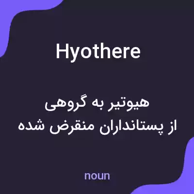 معنی hyothere به فارسی معنی hyothere به فارسی