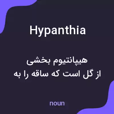 معنی hypanthia به فارسی معنی hypanthia به فارسی