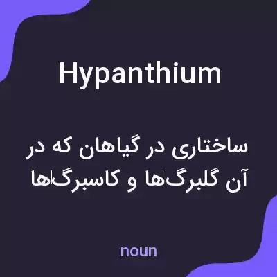 معنی hypanthium به فارسی