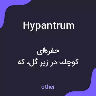 معنی hypantrum به فارسی معنی hypantrum به فارسی