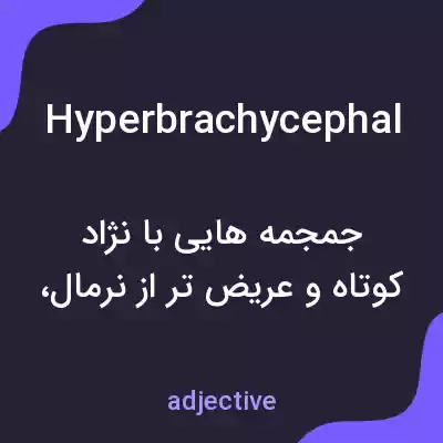 معنی hyperbrachycephal به فارسی معنی hyperbrachycephal به فارسی