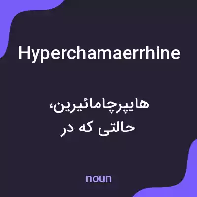 معنی hyperchamaerrhine به فارسی معنی hyperchamaerrhine به فارسی