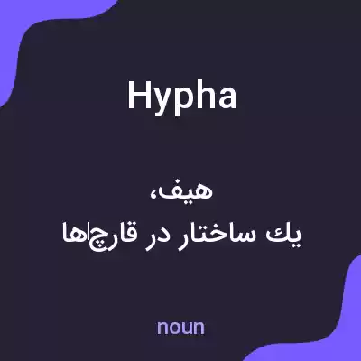 معنی hypha به فارسی معنی hypha به فارسی