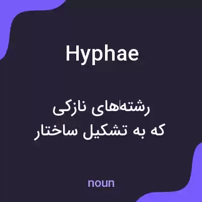 معنی hyphae به فارسی معنی hyphae به فارسی