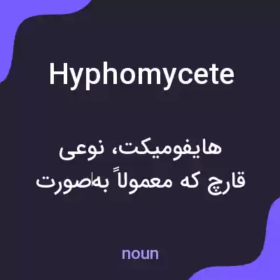 معنی hyphomycete به فارسی معنی hyphomycete به فارسی