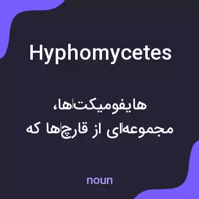 معنی hyphomycetes به فارسی معنی hyphomycetes به فارسی