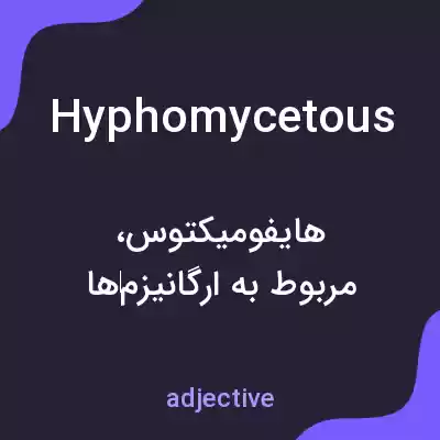 معنی hyphomycetous به فارسی معنی hyphomycetous به فارسی