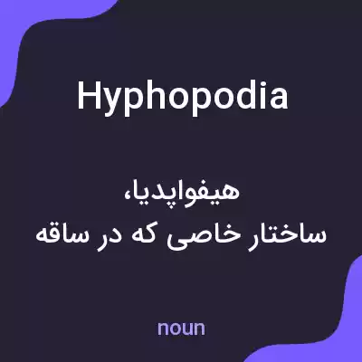 معنی hyphopodia به فارسی معنی hyphopodia به فارسی
