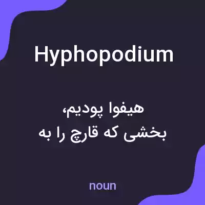 معنی hyphopodium به فارسی معنی hyphopodium به فارسی