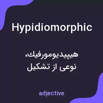 معنی hypidiomorphic به فارسی معنی hypidiomorphic به فارسی