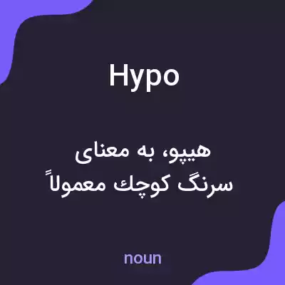 معنی hypo به فارسی معنی hypo به فارسی