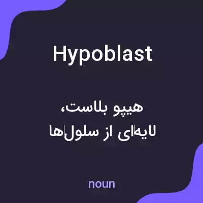 معنی hypoblast به فارسی معنی hypoblast به فارسی